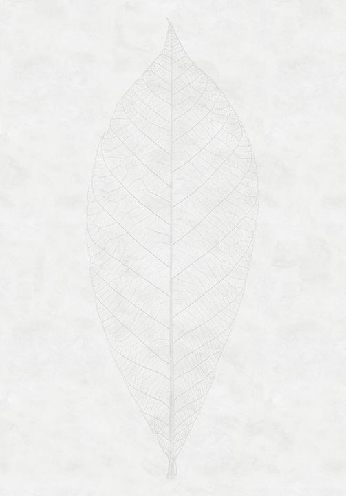 Produktbild Komar Decent Leaf (200 x 280 cm)