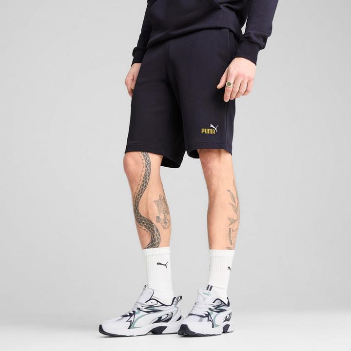 Image du produit Puma ESS 2 COLOR No. 1 Logo Shorts 10" TR (M)