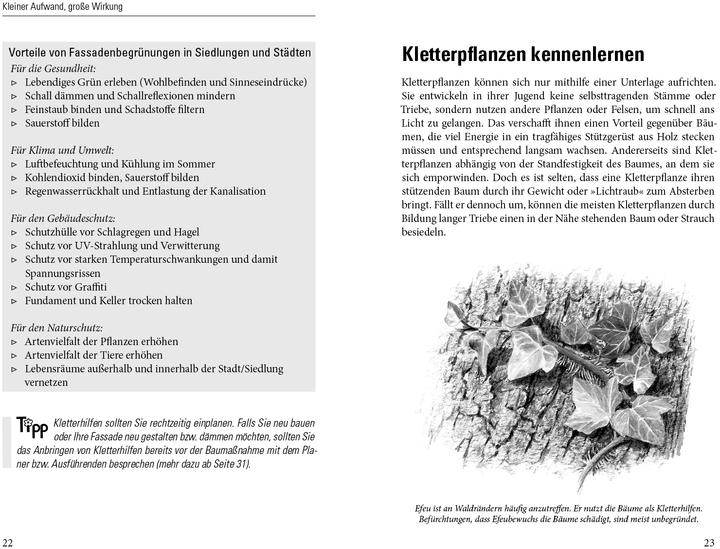 Produktbild Grüne Wände für Haus und Garten (Deutsch, Brigitte Kleinod, 2014)