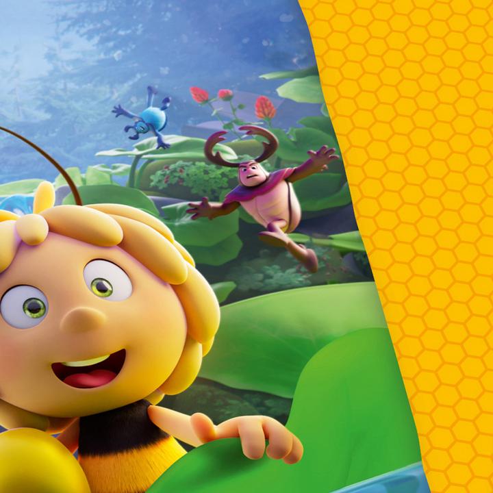 Actual product image Herding Children reversible bedding "Maya the Bee (200 x 135 cm, 80 x 80 cm)