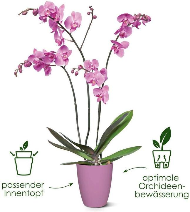 Image du produit Elho Brussels (13 x 15 cm)