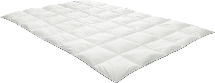 Produktbild Erwin Müller Main (840 g, Polyester, 135 x 200 cm)