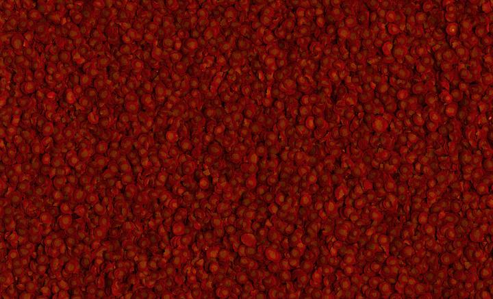 Immagine prodotto Tetra Per menu (Pesce ornamentale, Pesci d'acqua dolce, Guppy, 250 ml)