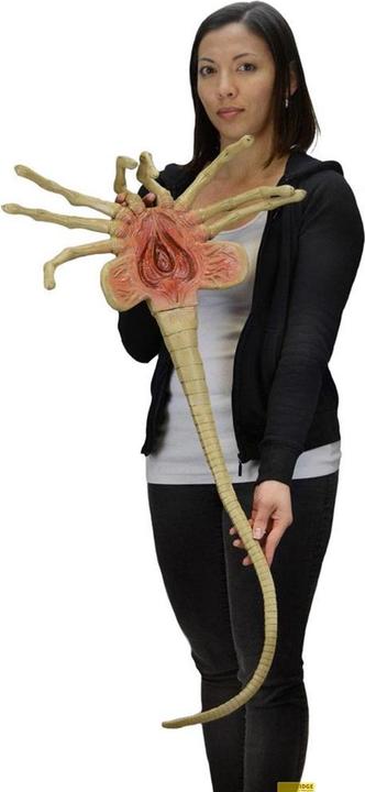 Image du produit Neca Aliens : 1/1 Facehugger