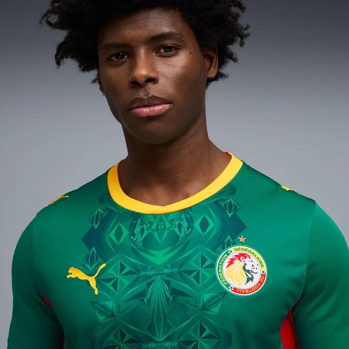 Actual product image Puma FSF Away Jersey Replica (M)