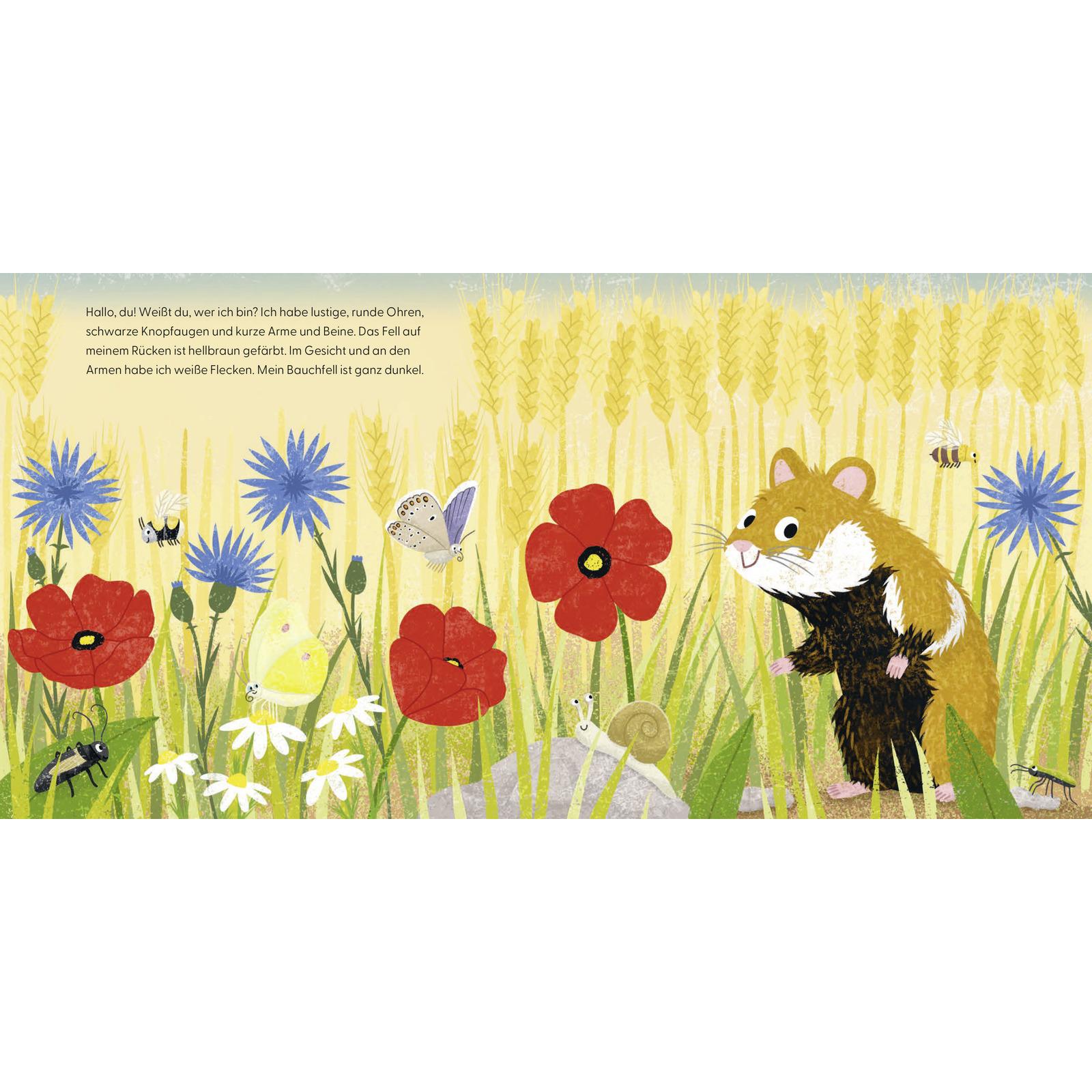 Thumbnail - S. Fischer Publishing, Babybücher, Kennst du mich? Ich bin ein Hamster! (Deutsch)