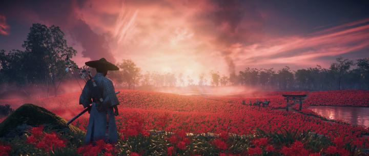 Image du produit Sony Ghost of Tsushima Director"s Cut Standard+Add-on+DLC PlayStation 4 (PS4, EN)