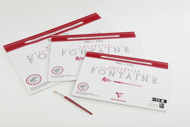 Image du produit Clairefontaine - Blanc (300 g/m², 10 x)