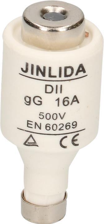 Actual product image Max Hauri Fuse DT (16 A)