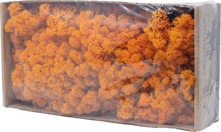 Produktbild Flowerbox Islandmoos