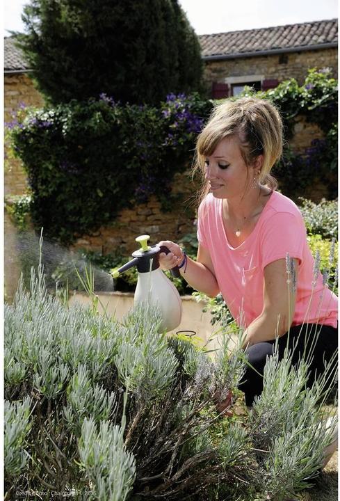 Actual product image Hozelock Pressure sprayer 2 l (2 l)