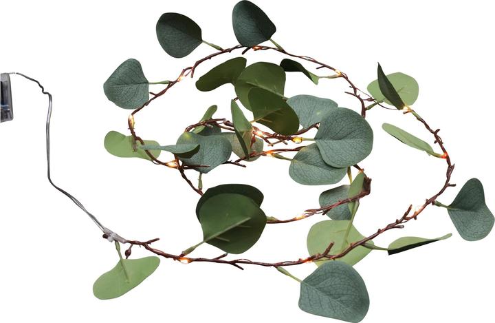 Produktbild GuGus Eukalyptus Blätter (0.30 m)