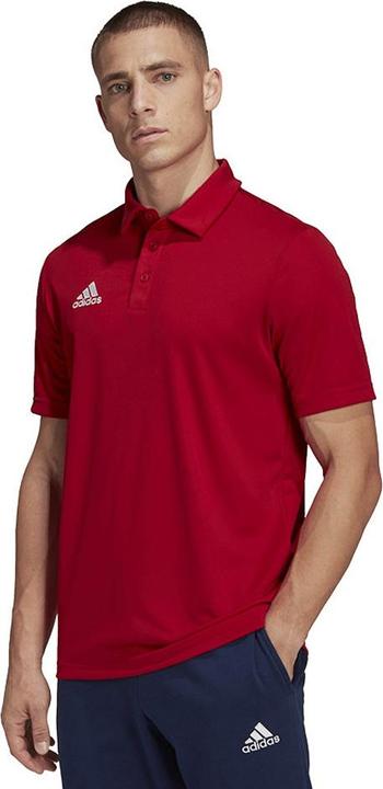 Produktbild Adidas Entrada 22 Poloshirt (M)