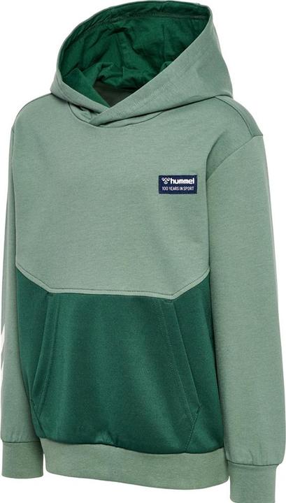 Produktbild hummel hmlEDDY HOODIE (140)