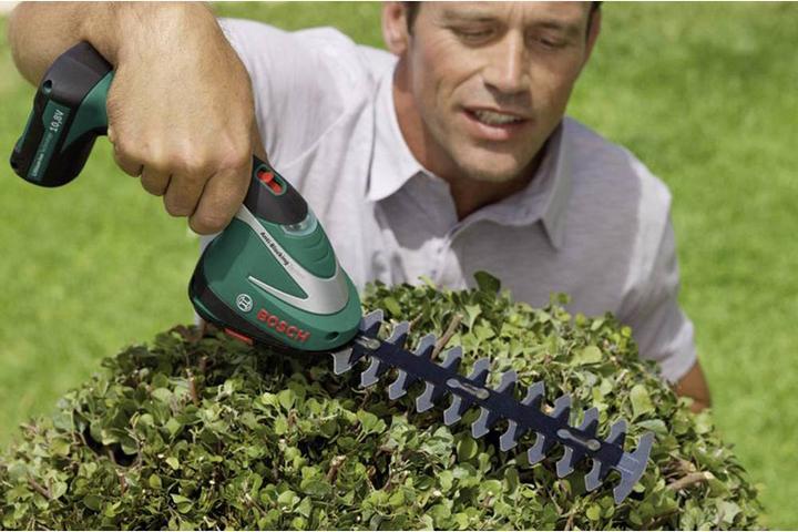 Actual product image Bosch Home & Garden ASB 10.8 Li (Rechargeable battery operated)