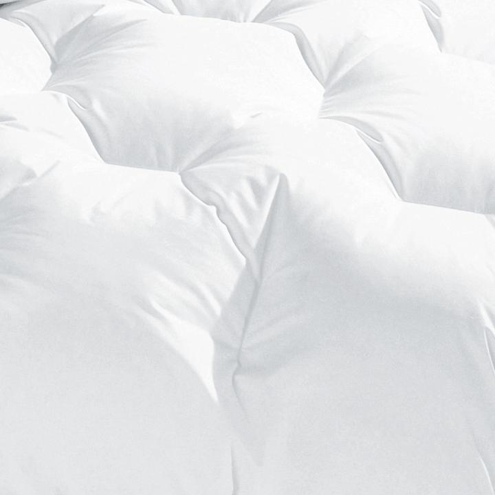 Image du produit Erwin Müller Herrsching (1500 g, Duvet, 200 x 200 cm)