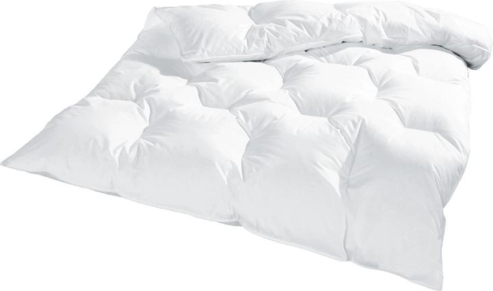 Image du produit Erwin Müller Herrsching (1500 g, Duvet, 200 x 200 cm)