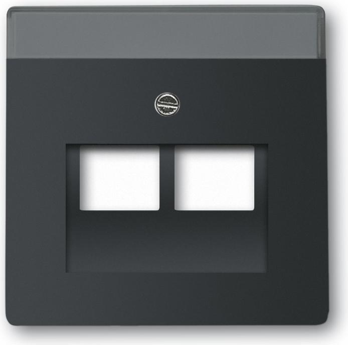 Actual product image Busch-Jaeger Central disk