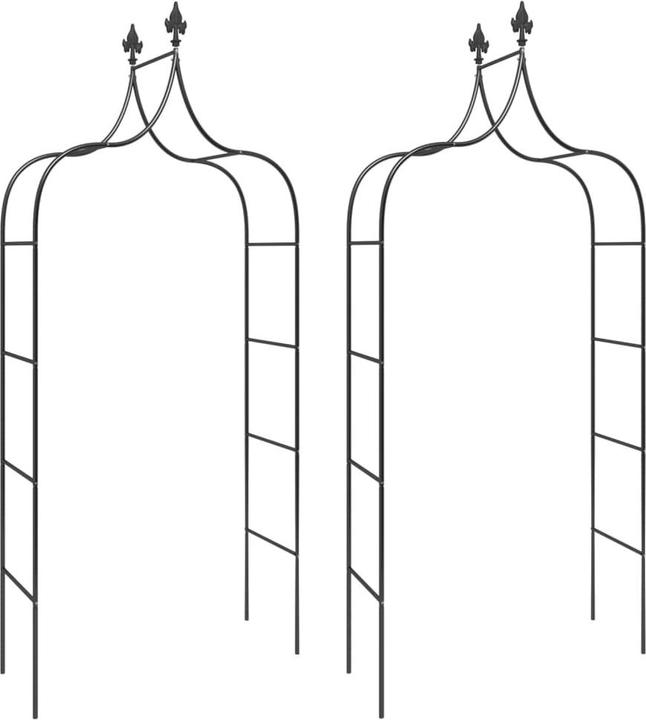 Image du produit vidaXL Gartenbogen (38 cm, 120 cm)