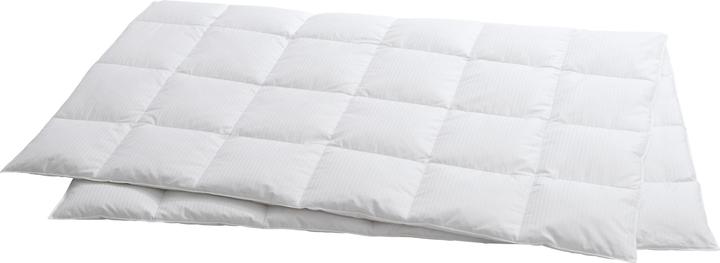 Produktbild Billerbeck Edition Hayo (600 g, 160 x 210 cm)