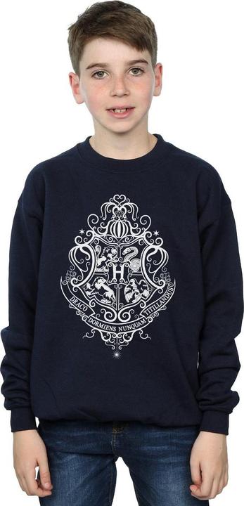 Produktbild Hogwarts Draco Dormiens Crest Sweatshirt Jungen (140, 146)