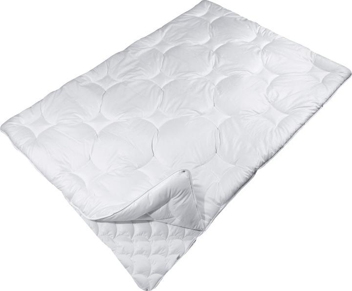 Actual product image Erwin Müller Donau (1250 g, 155 x 240 cm)