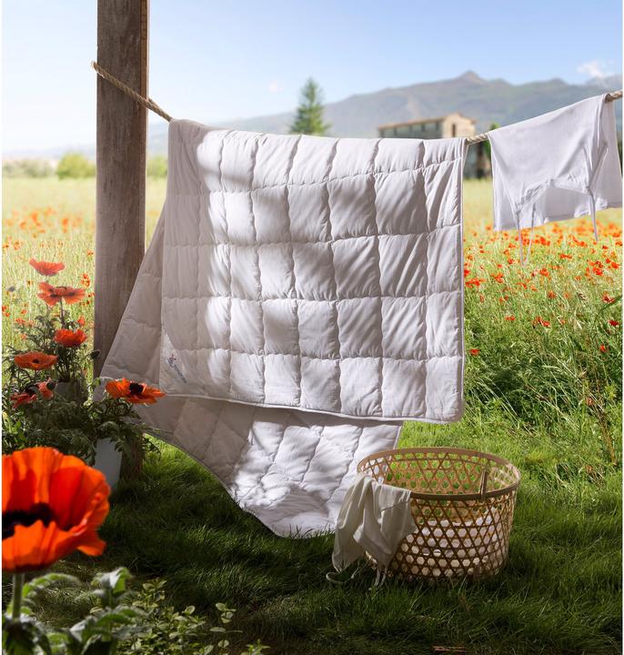 Actual product image Erwin Müller Donau (1250 g, 155 x 240 cm)