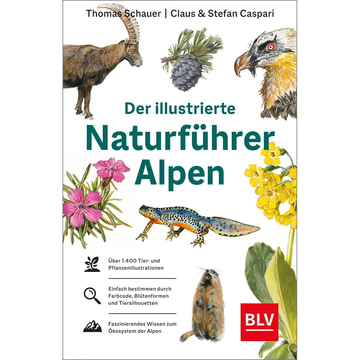Der illustrierte Naturführer Alpen, Ratgeber von Thomas Schauer, Stefan Caspari