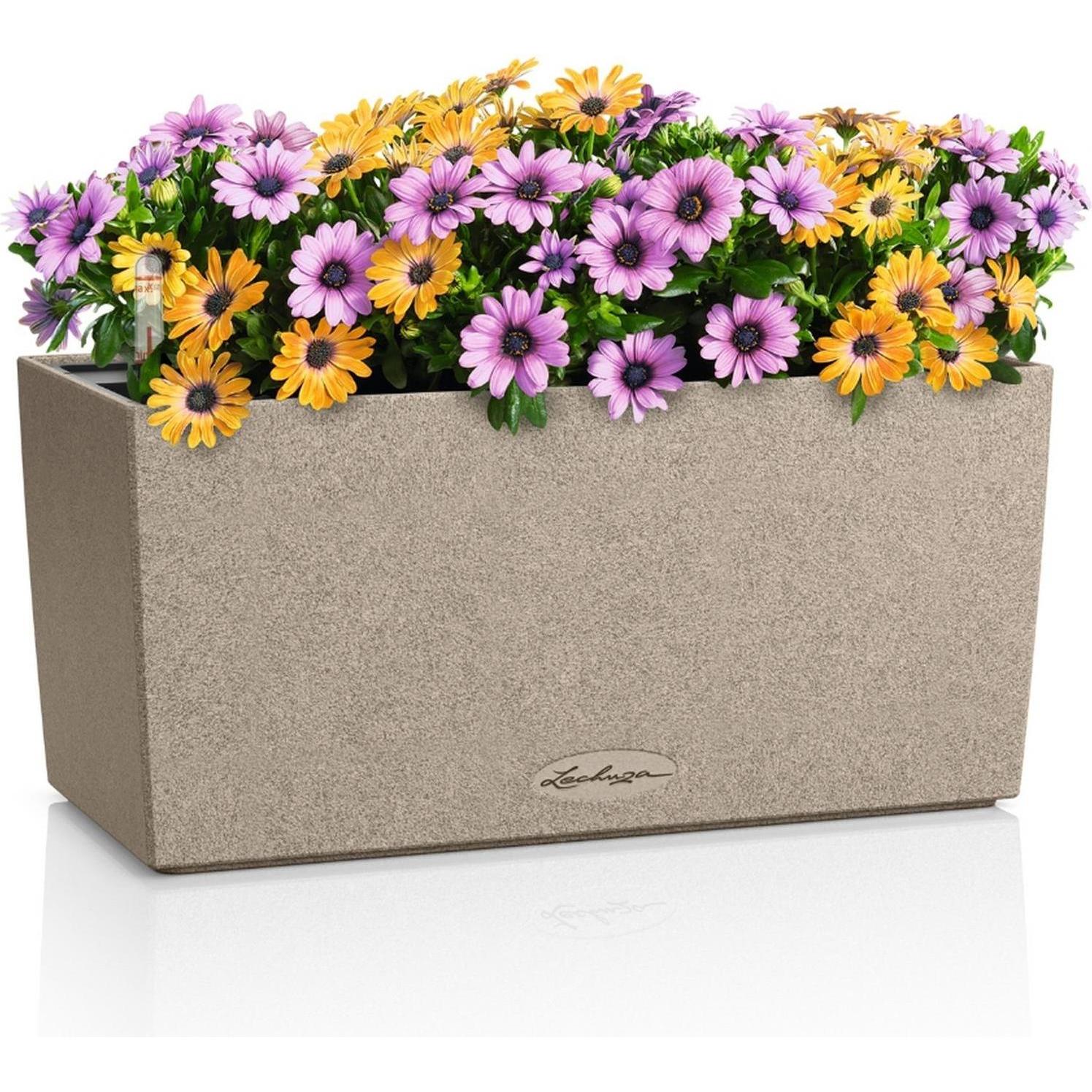 Lechuza, Vaso da fiori, BALCONERA Stone 40 Beige (19 x 40 x 19 cm)