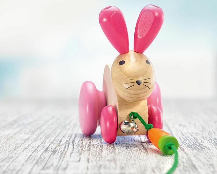 Actual product image Selecta Spielzeug Pull-along bunny Hanna hobble