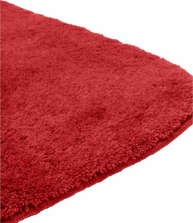 Image du produit Erwin Müller Tapis de bain (70 x 120 cm)