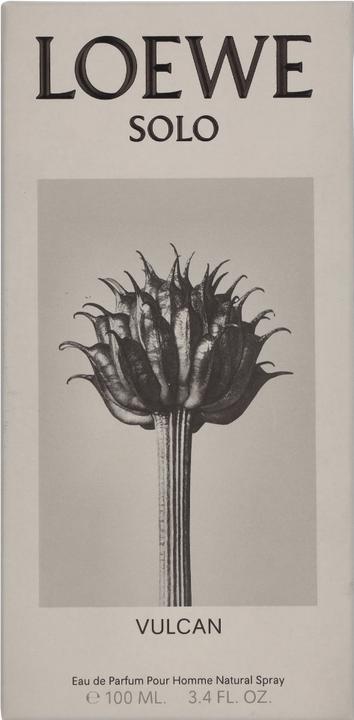 Image du produit Loewe ONLY VULCAN edp vapo 100 ml (Eau de parfum, 100 ml)