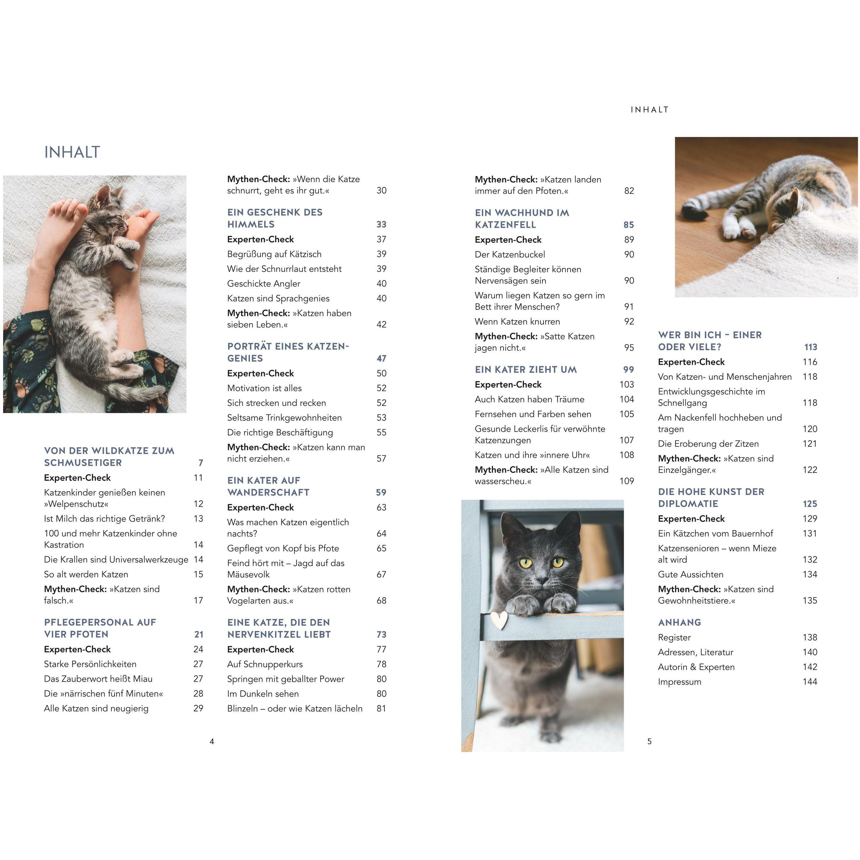 Thumbnail - Die unglaublichen Fähigkeiten der Katze, Ratgeber von Gabriele Linke-Grün