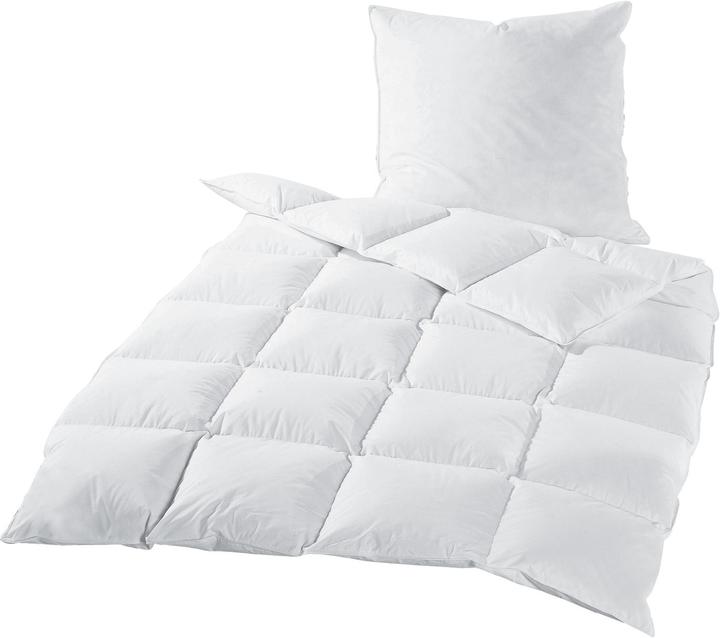 Image du produit Erwin Müller Grafing (770 g, Duvet, 220 x 155 cm)