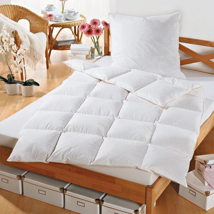 Image du produit Erwin Müller Grafing (770 g, Duvet, 220 x 155 cm)
