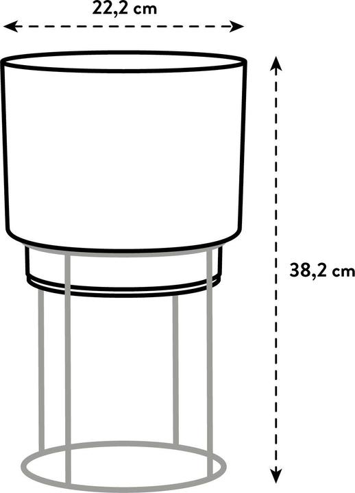 Immagine prodotto Elho B. per lo studio (22 cm)