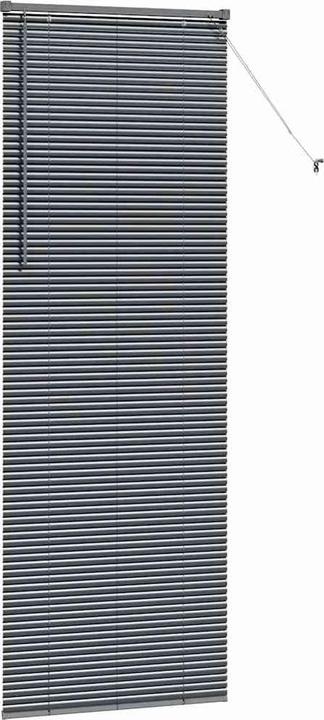 Immagine prodotto VidaXL Fensterjalousien (80 x 220 cm)