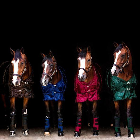 Immagine prodotto Back on Track royal