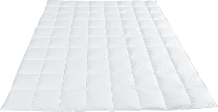 Image du produit Erwin Müller Posen (Duvet, 135 x 200 cm)