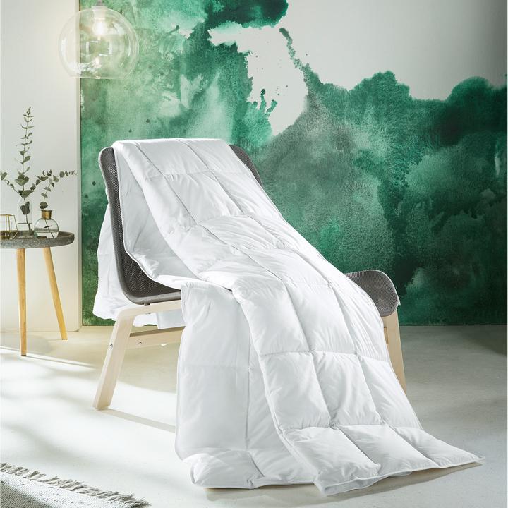 Image du produit Erwin Müller Posen (Duvet, 135 x 200 cm)