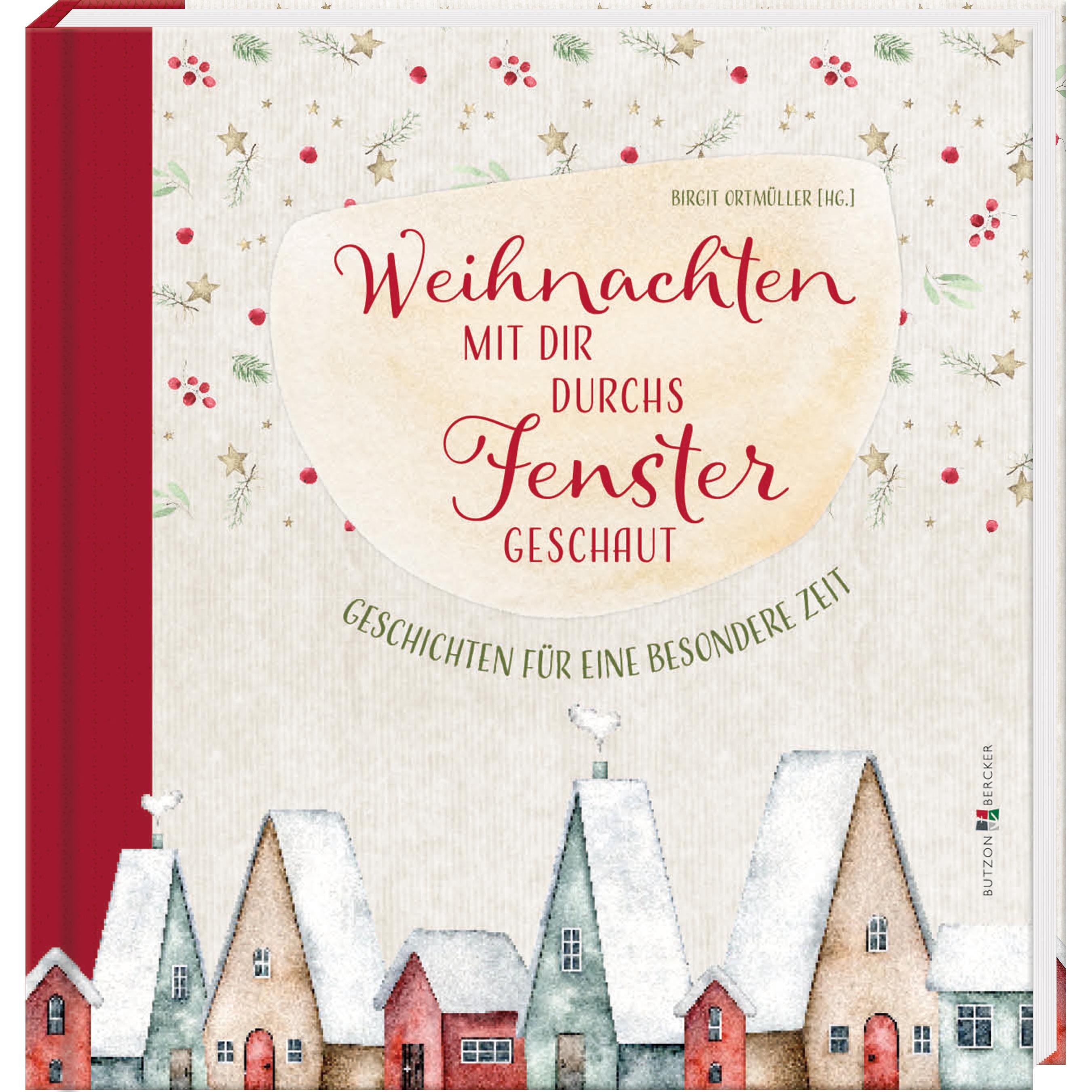 Weihnachten mit dir durchs Fenster geschaut, Belletristik von Birgit Ortmüller