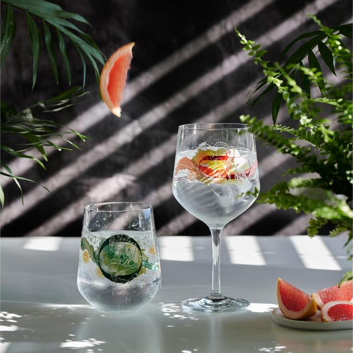 Produktbild Ritzenhoff 2er-Set Gin-Kelch Botanic Lights (7 dl, 2 x, Gin Gläser)