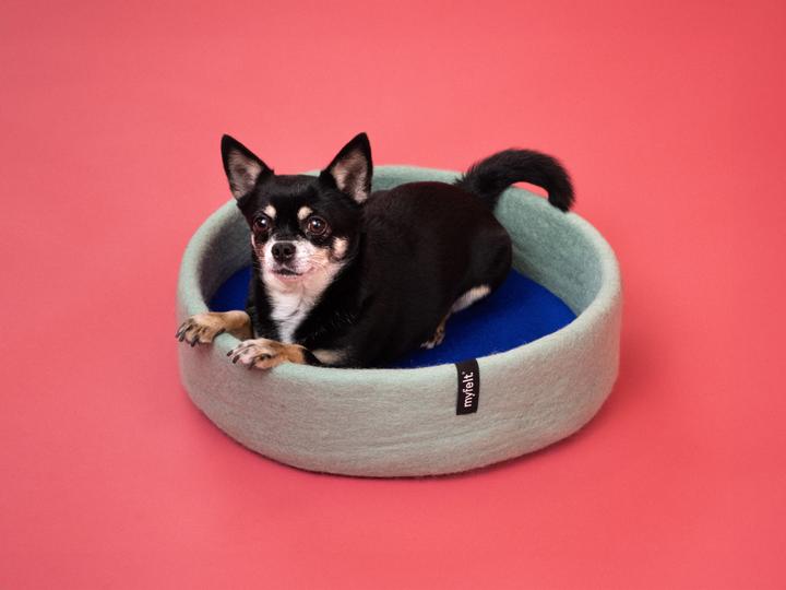 Produktbild Myfelt Fine (Hund)