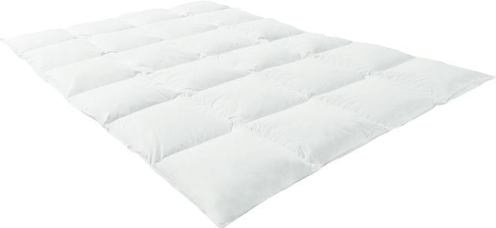 Actual product image Erwin Müller Bergen (1300 g, 200 x 220 cm)