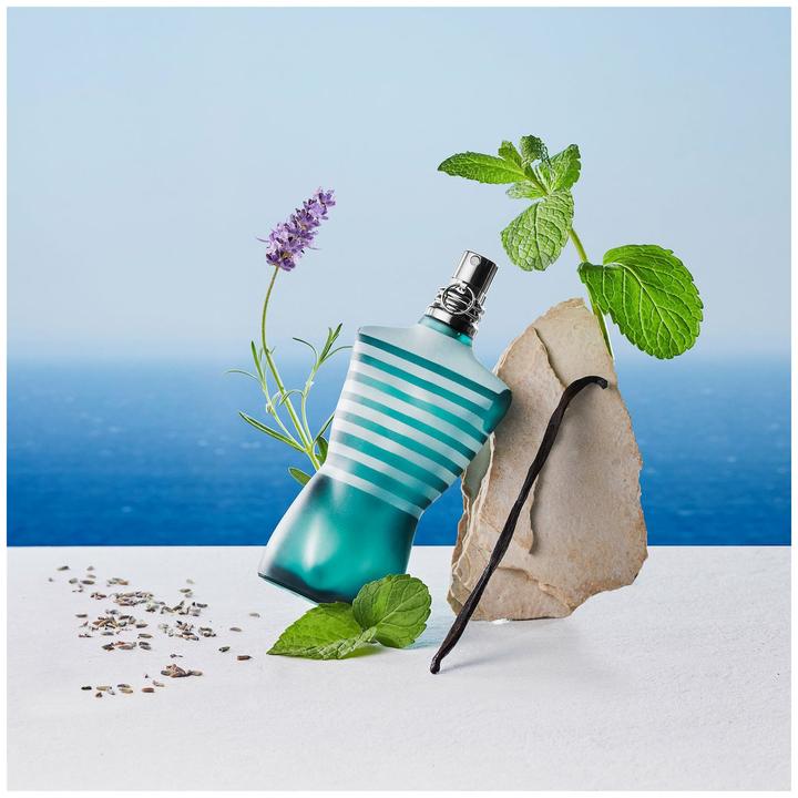 Image du produit Gaultier Le Male (Eau de toilette, 125 ml)
