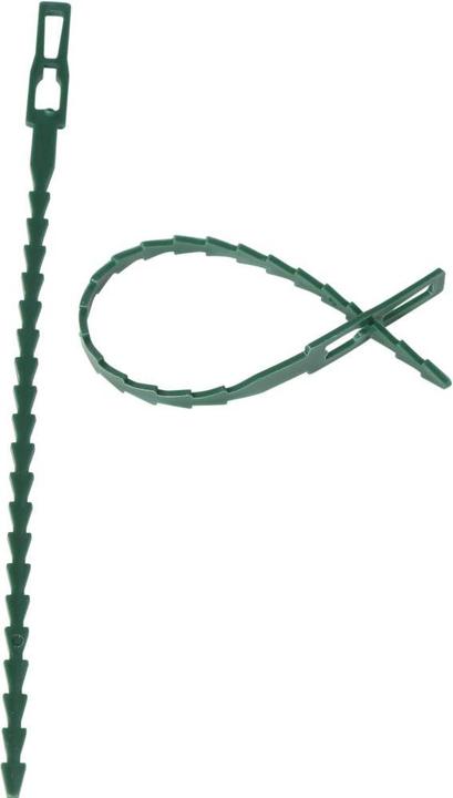 Siena Garden Plantaardig bindmiddel (17 cm, 800 cm)