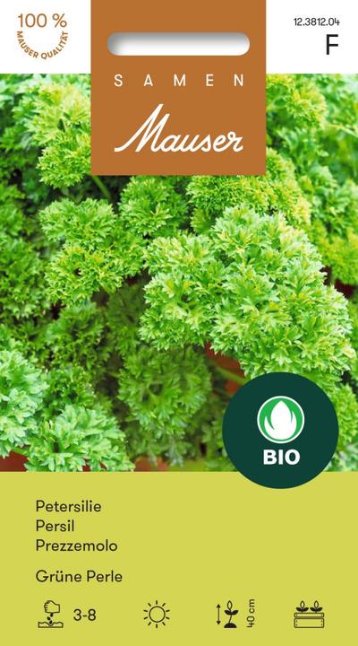 Produktbild Samen Mauser Grüne Perle (Kräutersamen)
