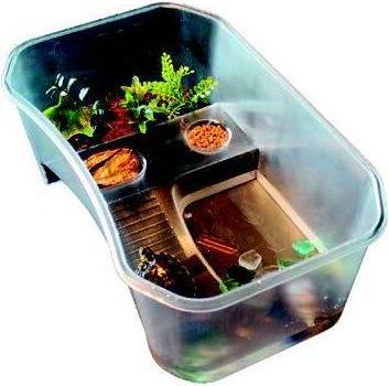 Produktbild Reptiles-Planet Turtle Aloha