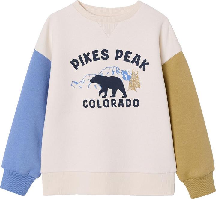 Produktbild Vertbaudet Sweatshirt mit farbigen ƒrmeln f¸r Jungen, Recycling-Polyester (116)