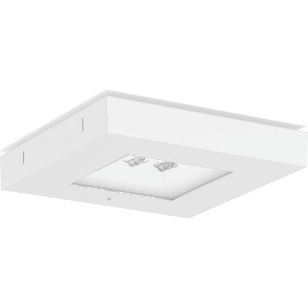 RZB, Arbeitsleuchte, LED-Notleuchte (460 lm)